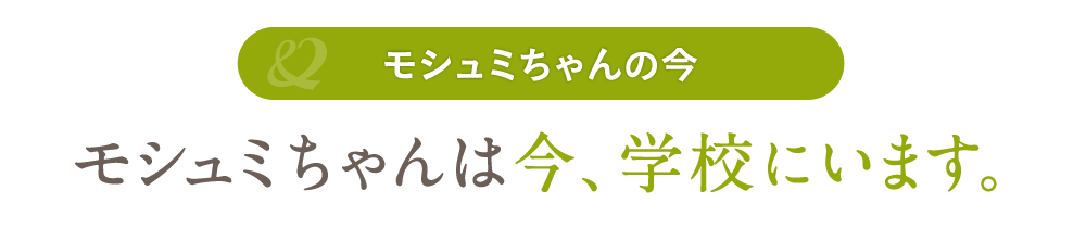 モシュミちゃんは今、学校にいます。