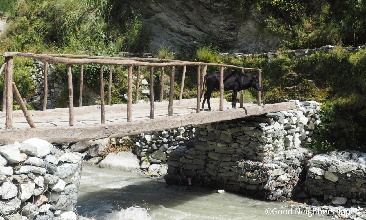 石で土台が作られた橋
