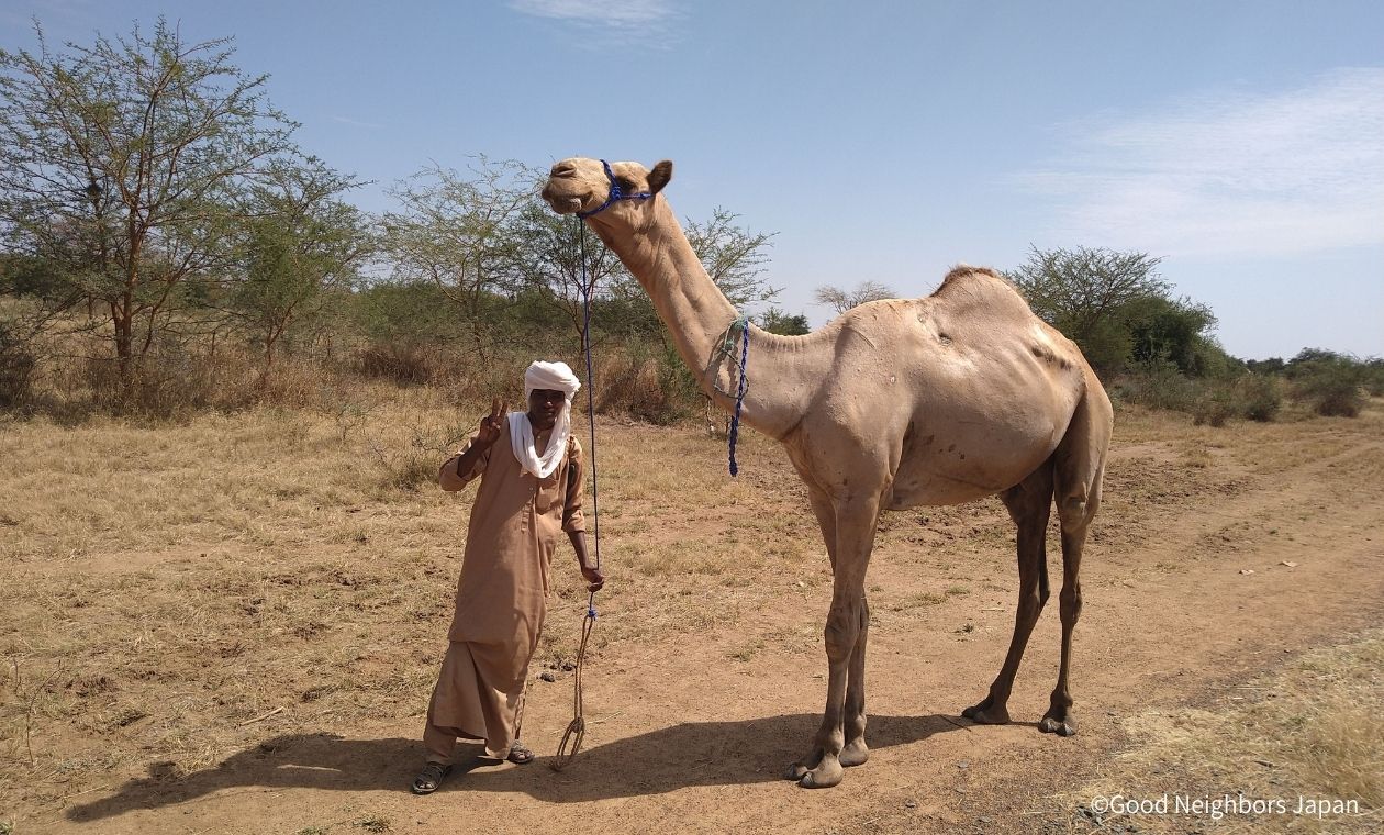 ラクダを引く男性
