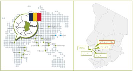 チャド