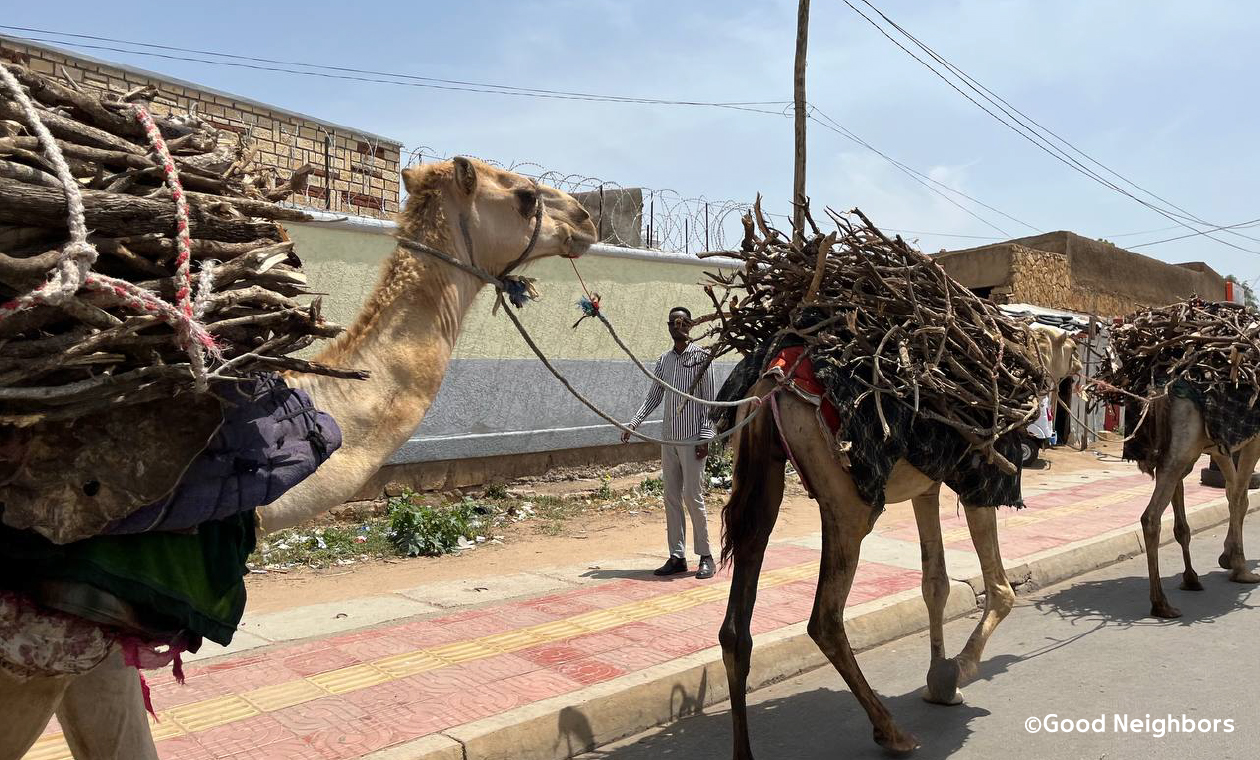 街中で物資を運ぶラクダ