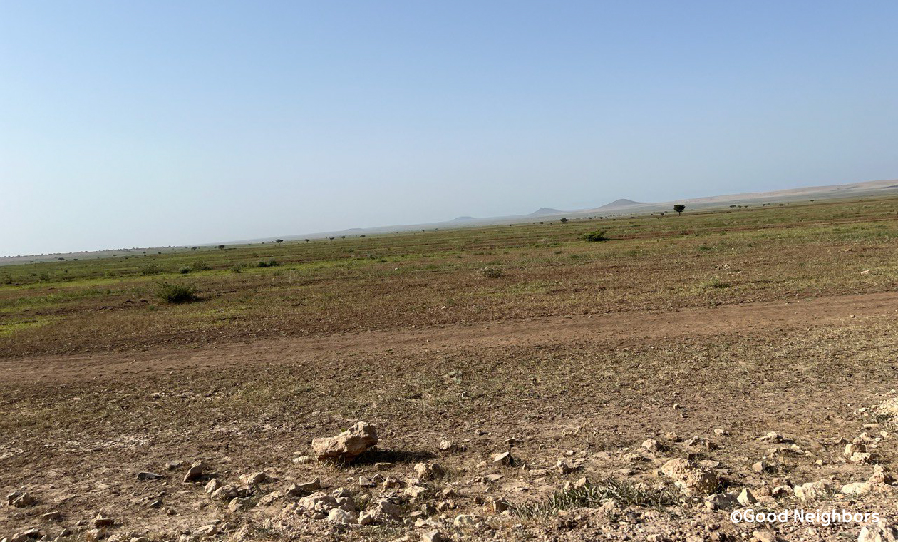 干ばつが深刻な問題となるソマリ州