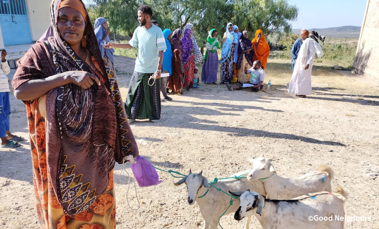 生計向上支援で提供されたヤギ