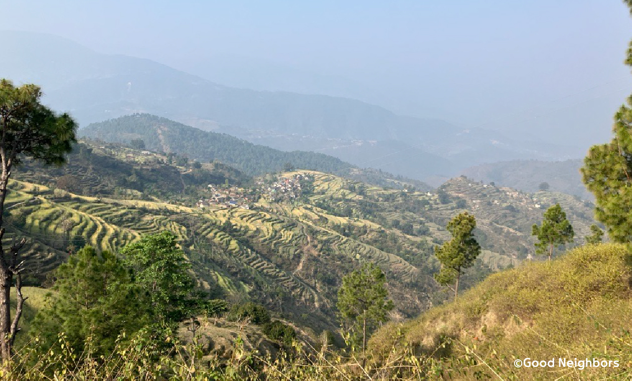 山奥にある活動対象地