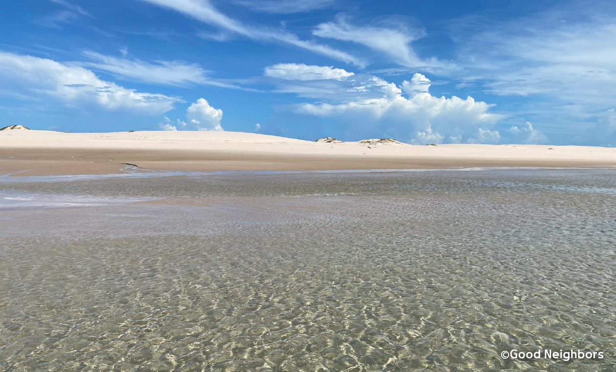モザンビークのビーチ