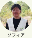 現地スタッフ　ソフィア