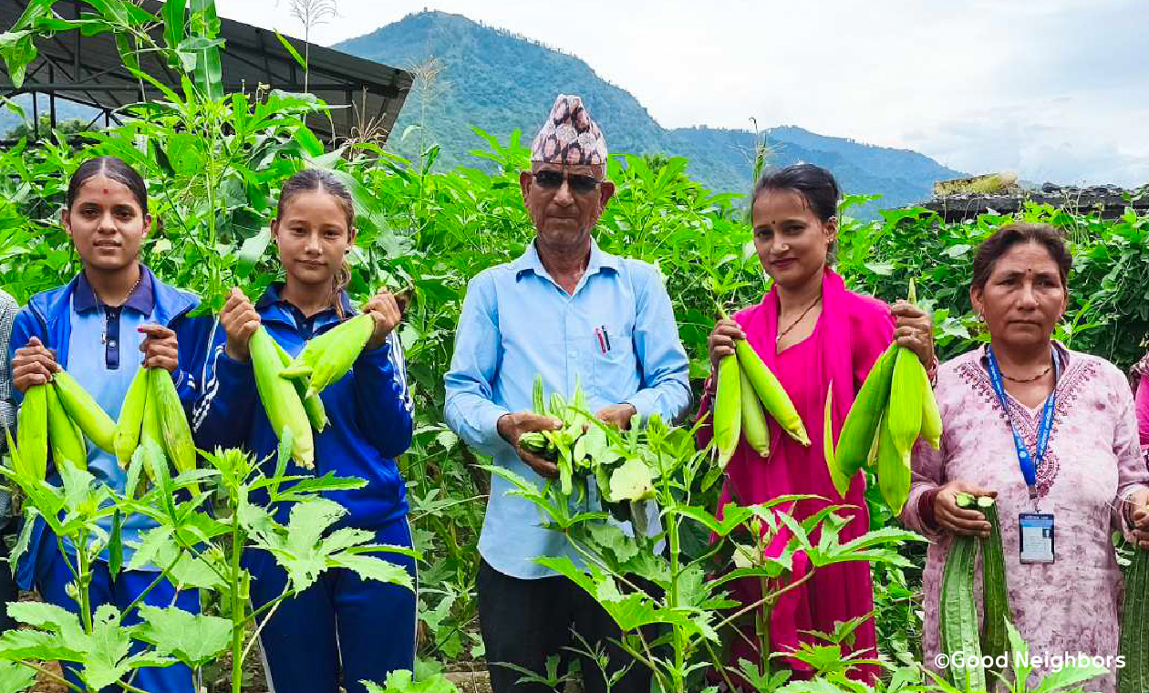 給食のための学校菜園