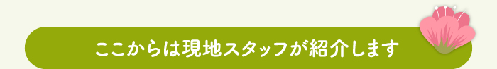 ここからは現地スタッフが紹介します