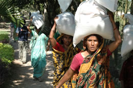 バングラデシュ緊急支援活動:グッドネーバーズ