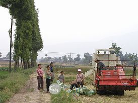 中国四川省大地震災害支援