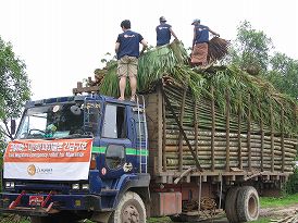 ミャンマー大型サイクロン災害支援