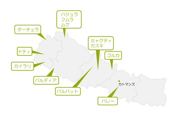 ネパールの活動地域