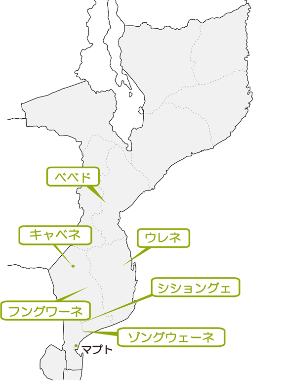 モザンビークの活動地域