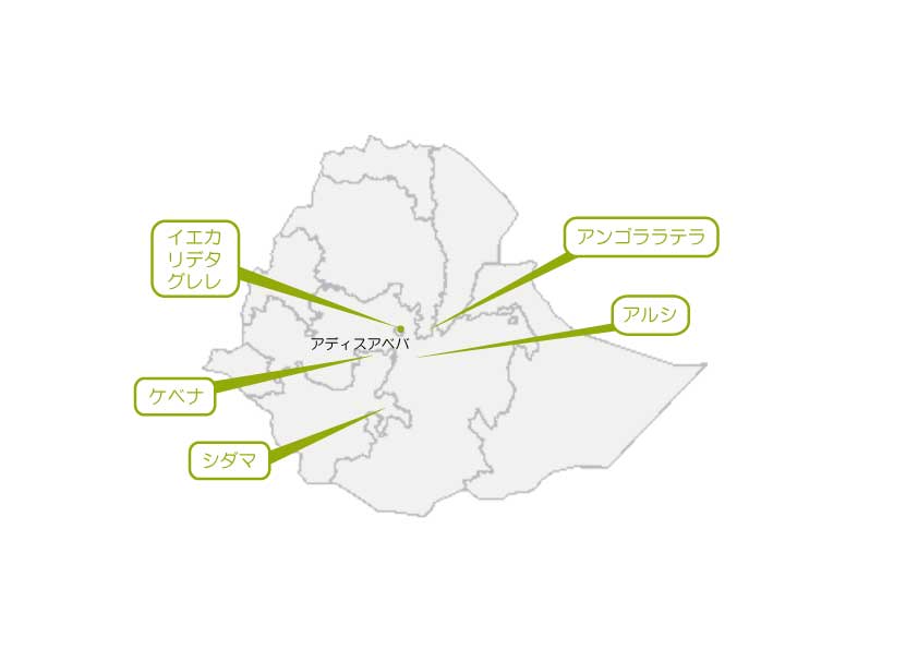 エチオピアの活動地域